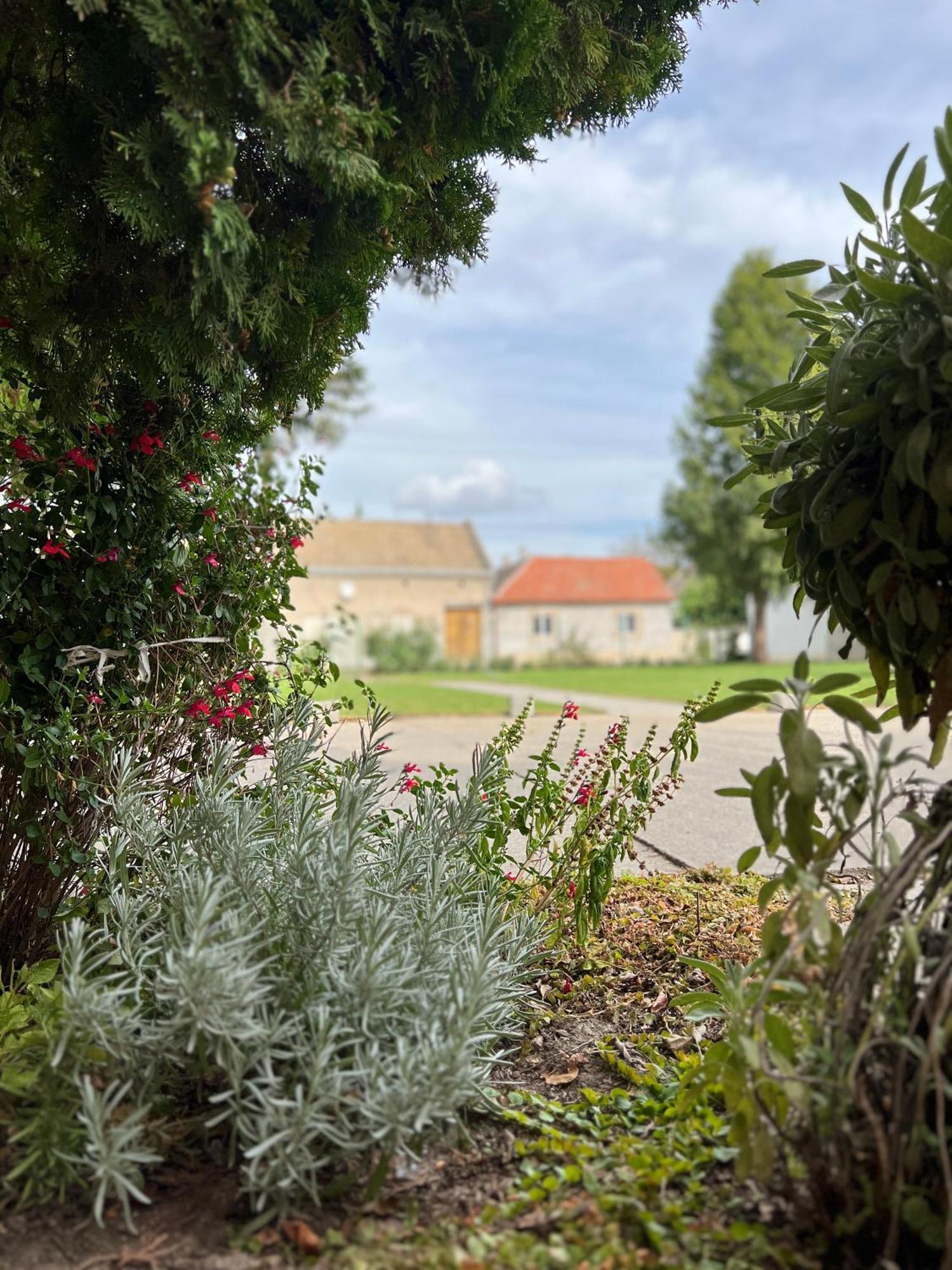 Bezdan Guesthouse Exteriör bild